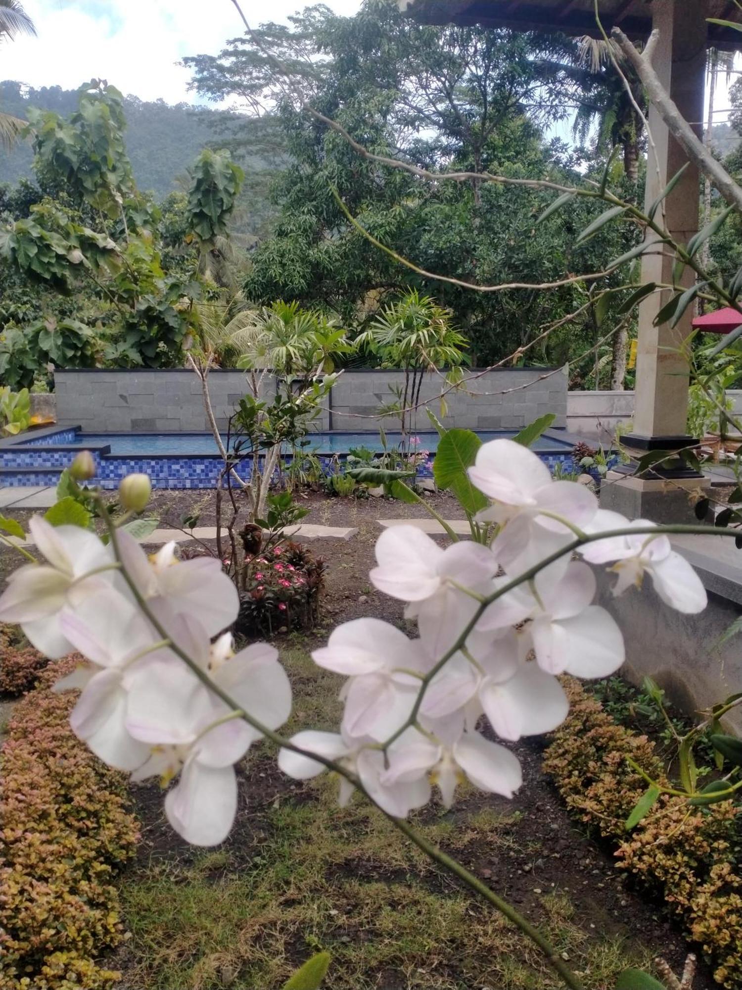 Intan Sidemen Villa Esterno foto